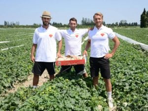Les savoureux melons des terres de Lansac