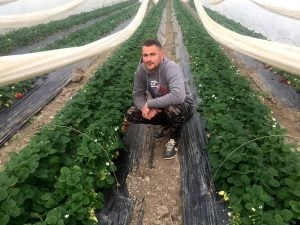 Martin prône le goût de ses fraises !