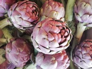 Artichaut chrysanthème