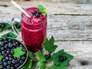 Smoothie myrtilles-groseilles