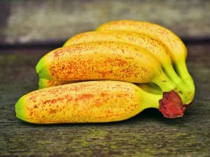 Banane Frécinette