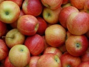 Pomme Jonagold