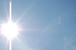 Canicule : quels impacts sur les fruits et légumes ?