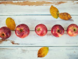 Pourquoi la saison a-t-elle toujours raison ?