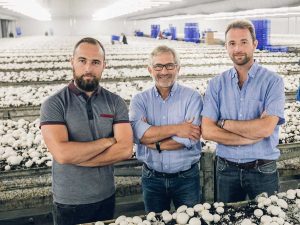 Les champignons de Jean-François, Jonathan et David
