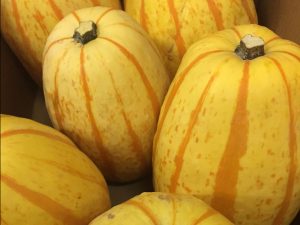 Courge Spaghetti