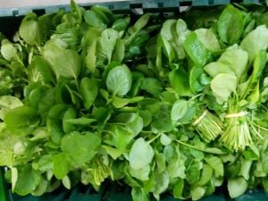 Cresson de Jardin