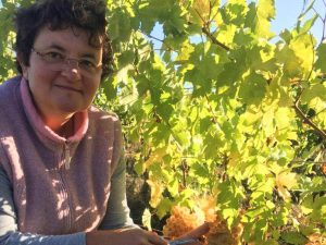 Les fruits au goût unique de Patricia