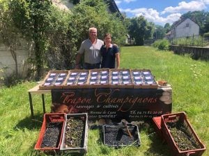 Les champignons d’exception de William et Cécile