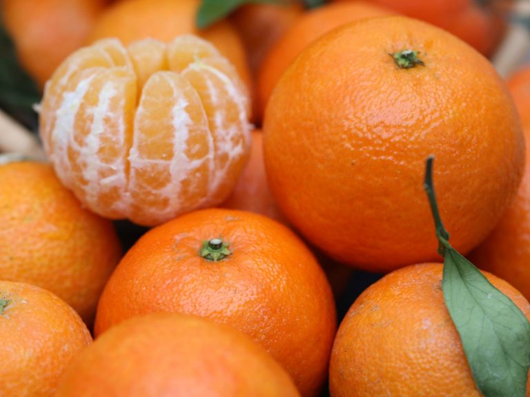 Tout savoir sur la clémentine Potager City