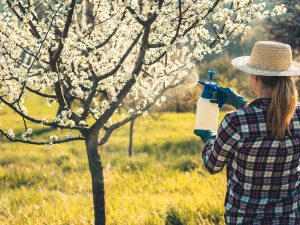 Pesticides : faisons le point