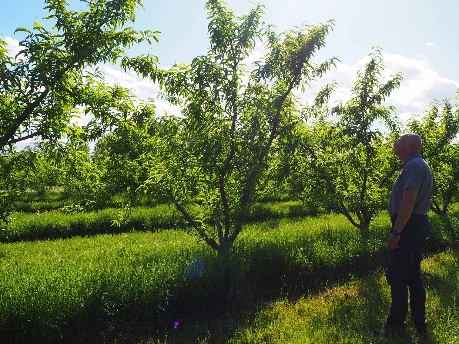 L’île aux pêches et nectarines : La passion du goût avec Laurent et Marc