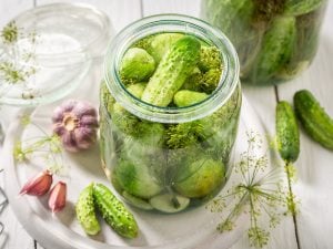 Cornichons en conserve