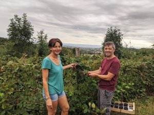 Chez Dominique et Sylvie : démarche inspirante d’une agriculture biologique et équitable !