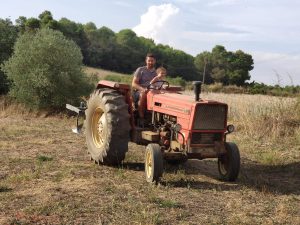 Les parcelles de grenadiers d’Enrique sont en agriculture biologique et se transmettent avec passion !