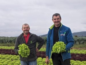 Chez Pascal, Christophe et Mickaël, le maraîchage est une affaire de famille