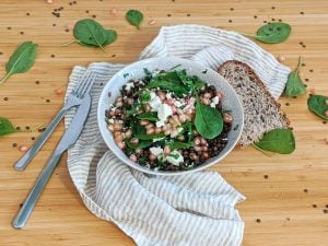 Salade de lentilles vertes bio, épinards, grenade et feta