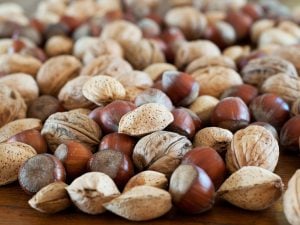 Les oléagineux bons pour la santé… Pourquoi ?