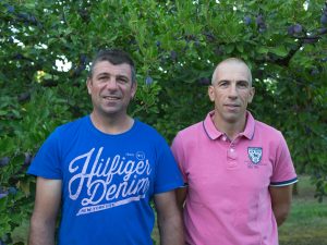 Jean-Luc et Christophe, nos producteurs de pruneaux d’Agen