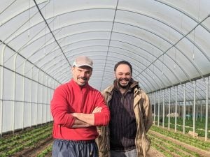Dans la famille Birly, on récolte à la main mais on produit avec le cœur