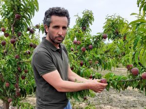 Dans les Pyrénées-Orientales, David nous invite dans ses vergers
