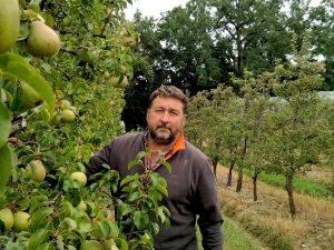 Jean-philippe nous accueille dans ses vergers de poiriers