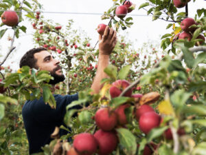Les Coteaux Nantais : l’entreprise de demain