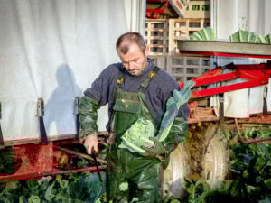 Dans le Finistère, les producteurs d’une petite coopérative sèment avec le vent et récoltent des saveurs !