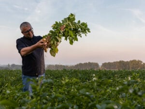 Le Gouessant : une coopérative vertueuse