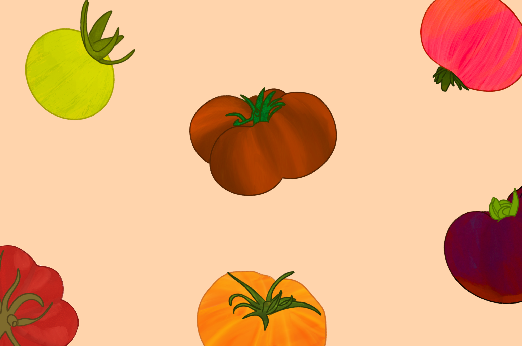 Notre guide des tomates