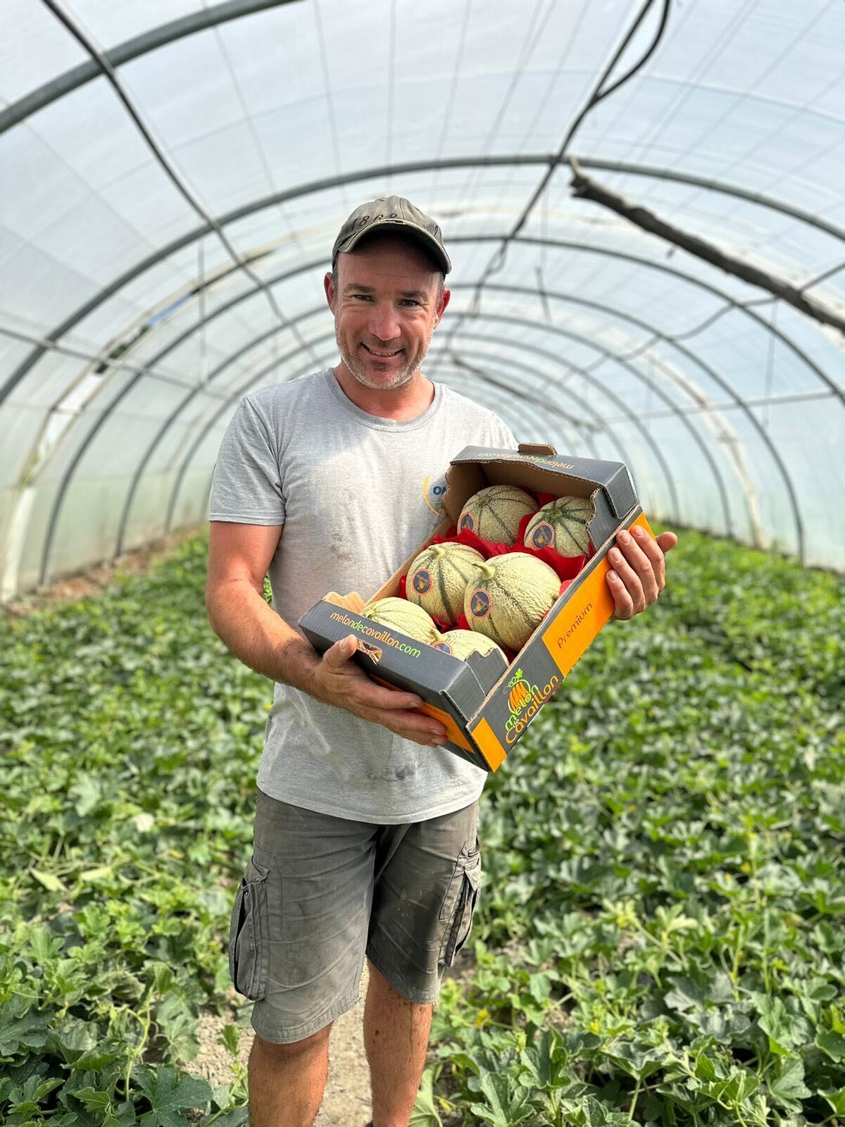 Le melon de Cavaillon IGP, un trésor du terroir provençal