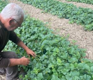 Chez Olivier et Ghislain, la passion se partage en famille