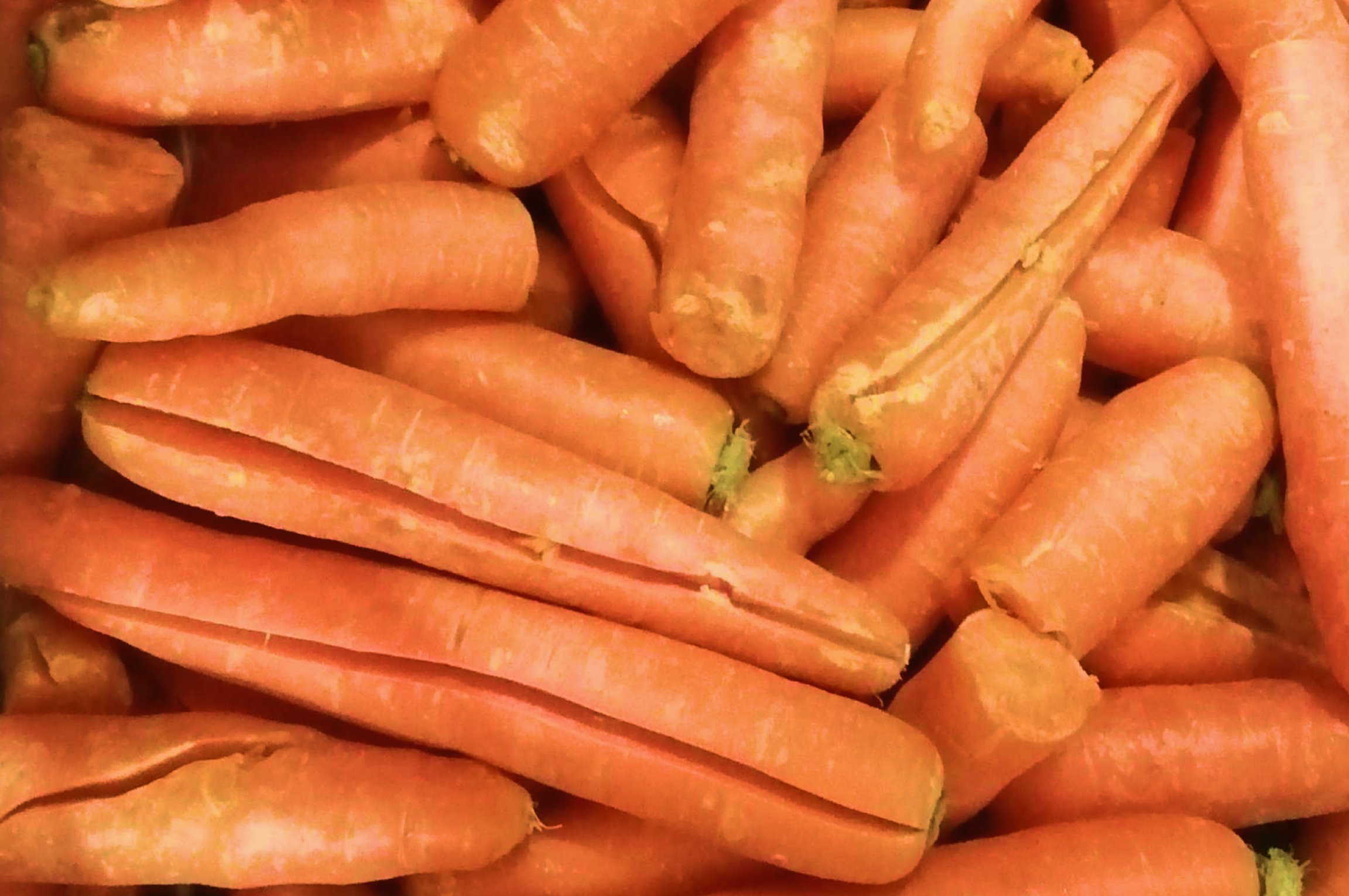 Potager City s’engage contre le gaspillage